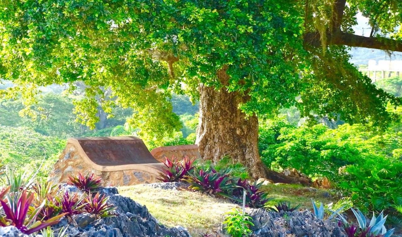 Las Galeras Village Ecolodge Exteriér fotografie